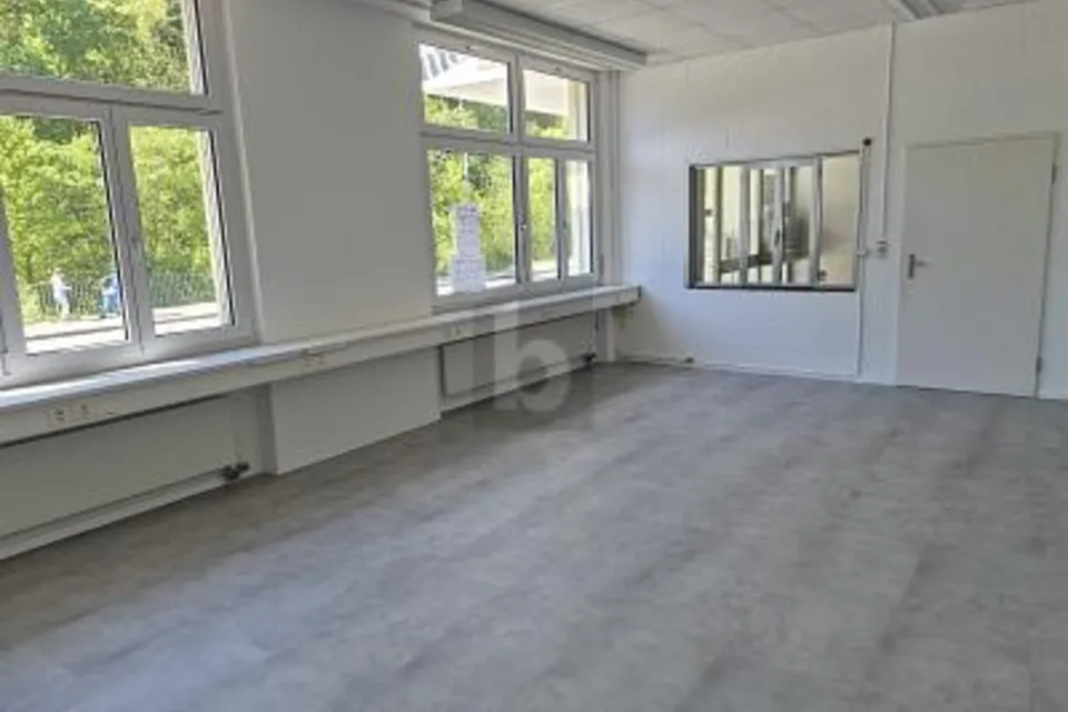POLYVALENT ET PRATIQUE, 8630 Rüti ZH, Zurich, CH