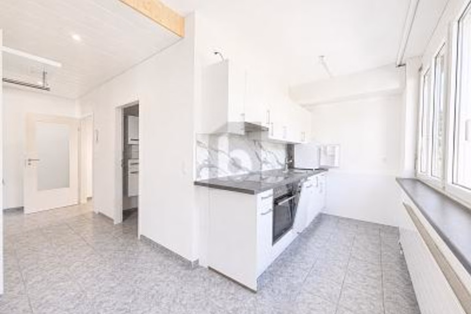 POLIVALENTE CON CUCINA E BAGNO, 4203 Grellingen, Basel-Landschaft, CH