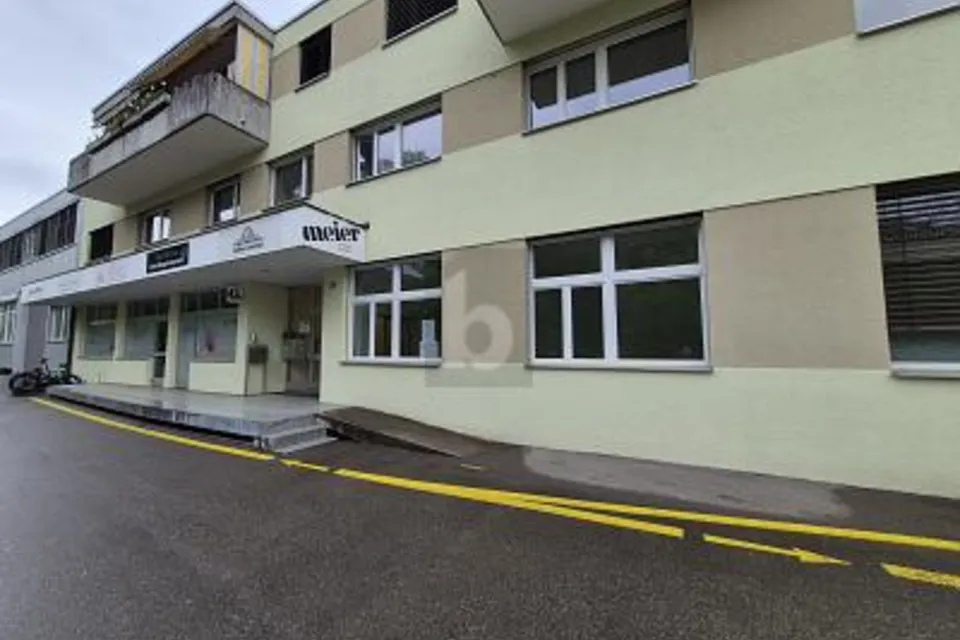 POLYVALENT ET PRATIQUE, 8630 Rüti ZH, Zurich, CH