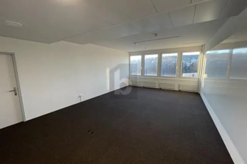 IDÉAL POUR VOTRE PROJET D'OPEN SPACE, 9016 St. Gallen, St. Gallen, CH
