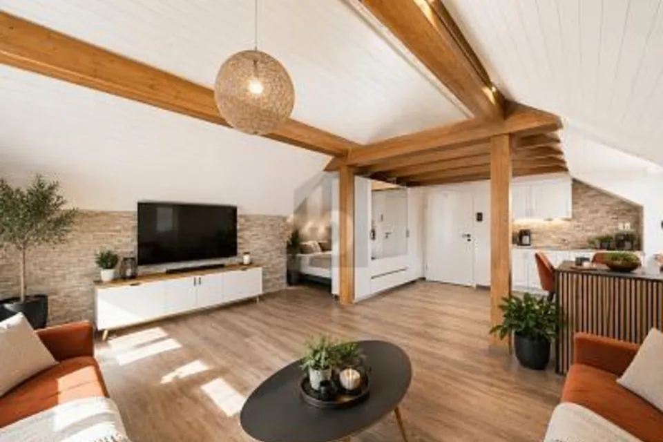 STILVOLL MIT VIELSEITIGEM POTENZIAL, 9430 St. Margrethen SG, St. Gallen, CH