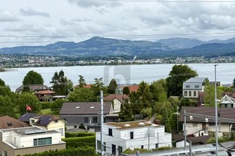 RAPPRESENTATIVO CON VISTA LAGO E TERRAZZE, 8808 Pfäffikon SZ, Schwyz, CH