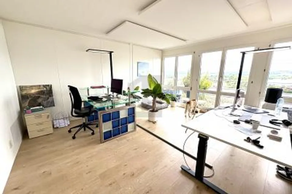 RAPPRESENTATIVO CON VISTA LAGO E TERRAZZE, 8808 Pfäffikon SZ, Schwyz, CH