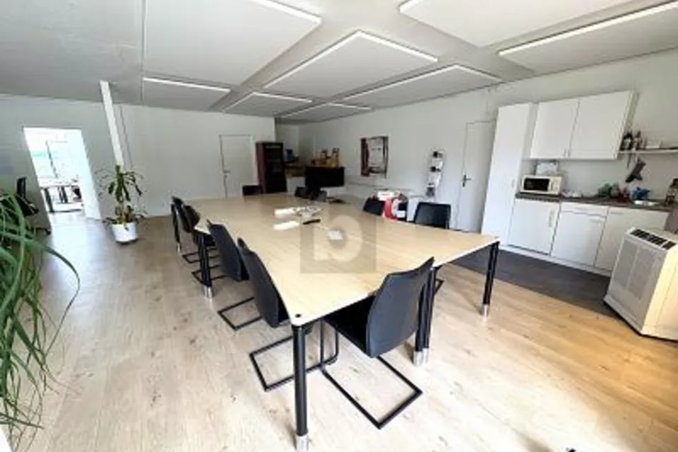 RAPPRESENTATIVO CON VISTA LAGO E TERRAZZE, 8808 Pfäffikon SZ, Schwyz, CH