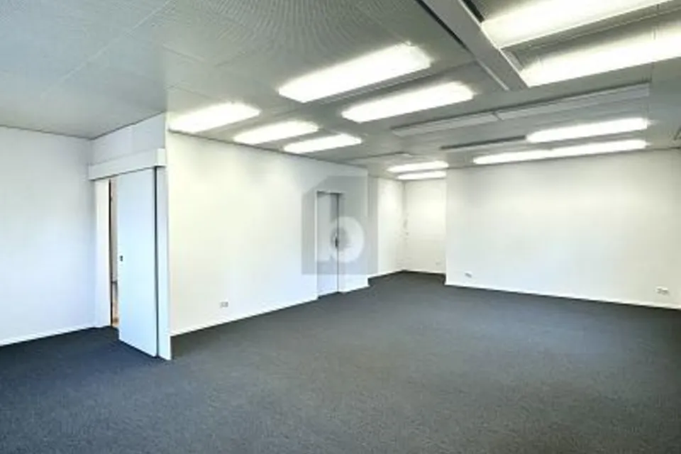 AMPI E MODERNI LOCALI IN POSIZIONE CENTRALE, 6274 Eschenbach LU, Lucerne, CH