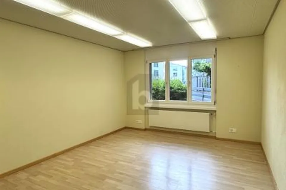 AMPI E MODERNI LOCALI IN POSIZIONE CENTRALE, 6274 Eschenbach LU, Lucerne, CH