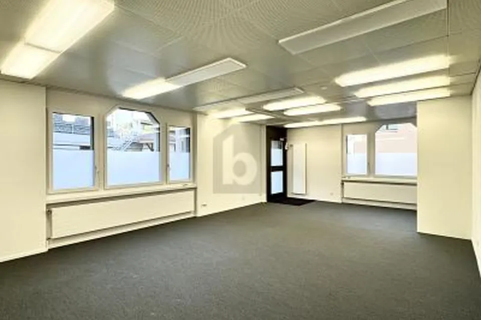 AMPI E MODERNI LOCALI IN POSIZIONE CENTRALE, 6274 Eschenbach LU, Lucerne, CH
