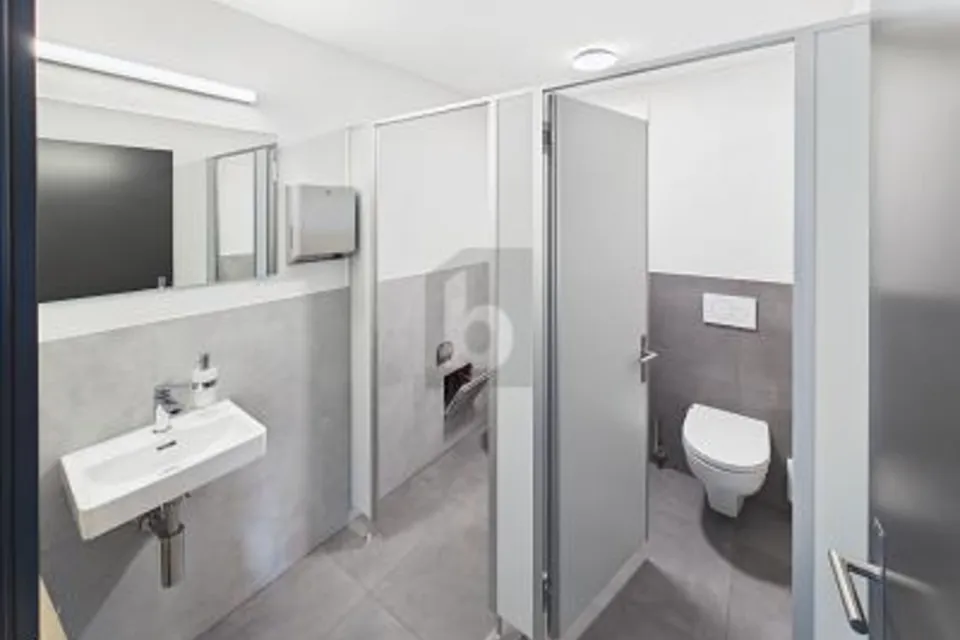 MODERN, FLEXIBLE AND CENTRAL, 3367 Thörigen, Bern, CH