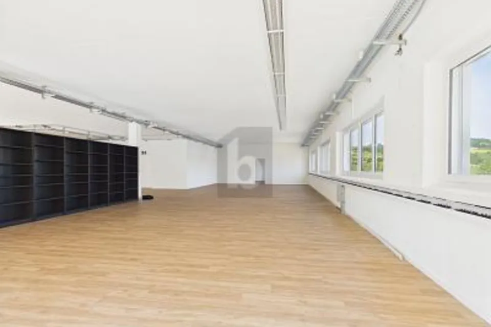 DI ALTA QUALITÀ, NUOVO E LUMINOSO, 6280 Hochdorf, Lucerne, CH