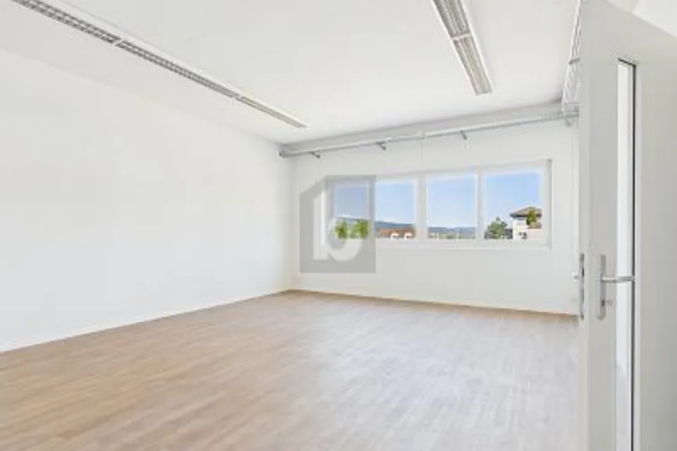 DI ALTA QUALITÀ, NUOVO E LUMINOSO, 6280 Hochdorf, Lucerne, CH