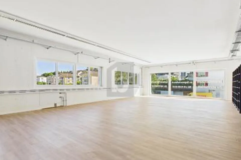 DI ALTA QUALITÀ, NUOVO E LUMINOSO, 6280 Hochdorf, Lucerne, CH