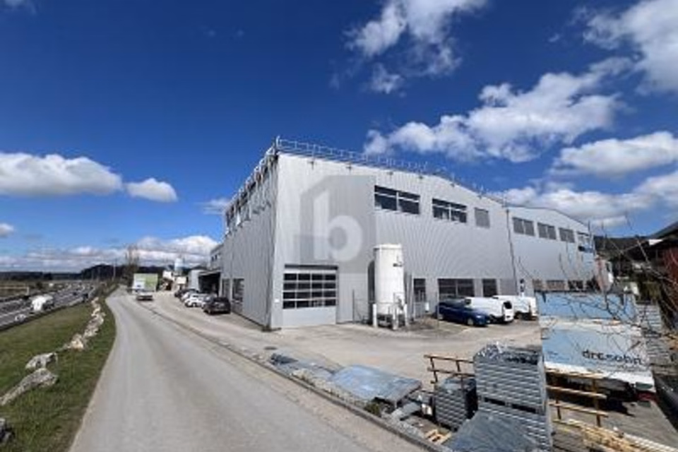 AMPIO CON MOLTO SPAZIO DI MAGAZZINO, 8932 Mettmenstetten, Zurich, CH