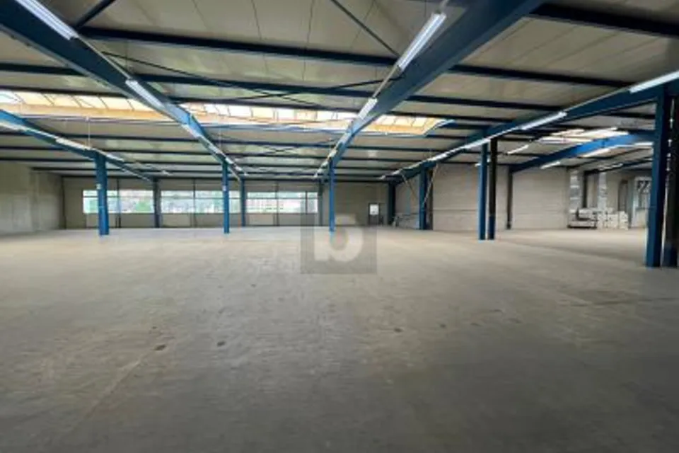 AMPIO CON MOLTO SPAZIO DI MAGAZZINO, 8932 Mettmenstetten, Zurich, CH