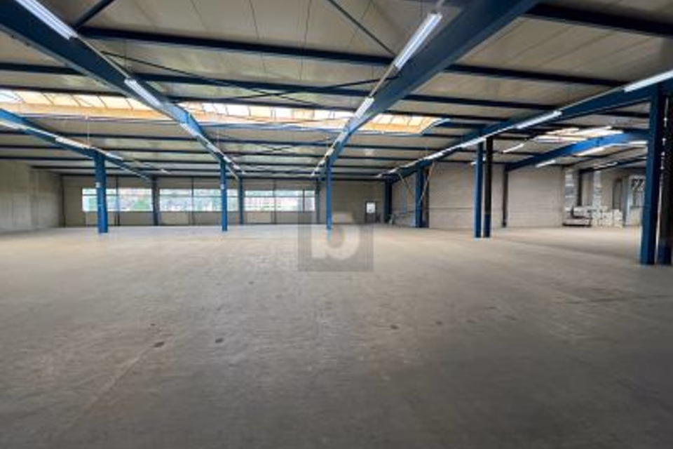 AMPIO CON MOLTO SPAZIO DI MAGAZZINO, 8932 Mettmenstetten, Zurich, CH