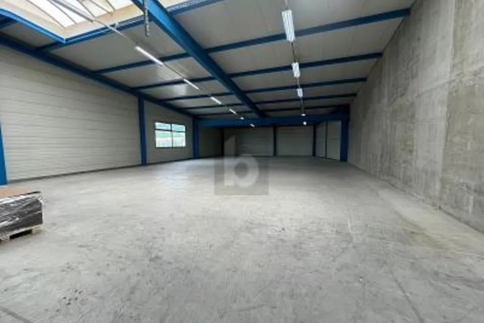 AMPIO CON MOLTO SPAZIO DI MAGAZZINO, 8932 Mettmenstetten, Zurich, CH