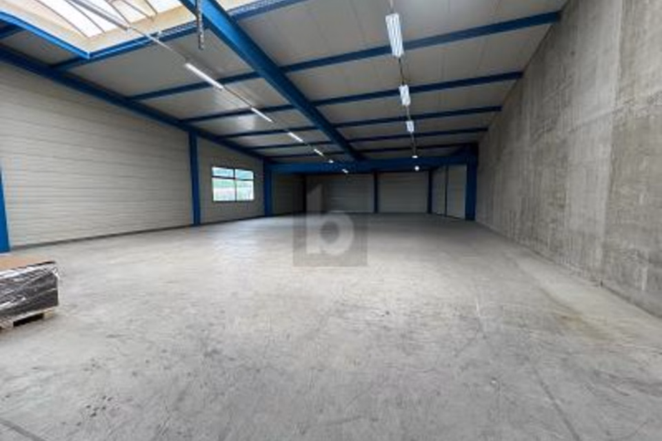 AMPIO CON MOLTO SPAZIO DI MAGAZZINO, 8932 Mettmenstetten, Zurich, CH