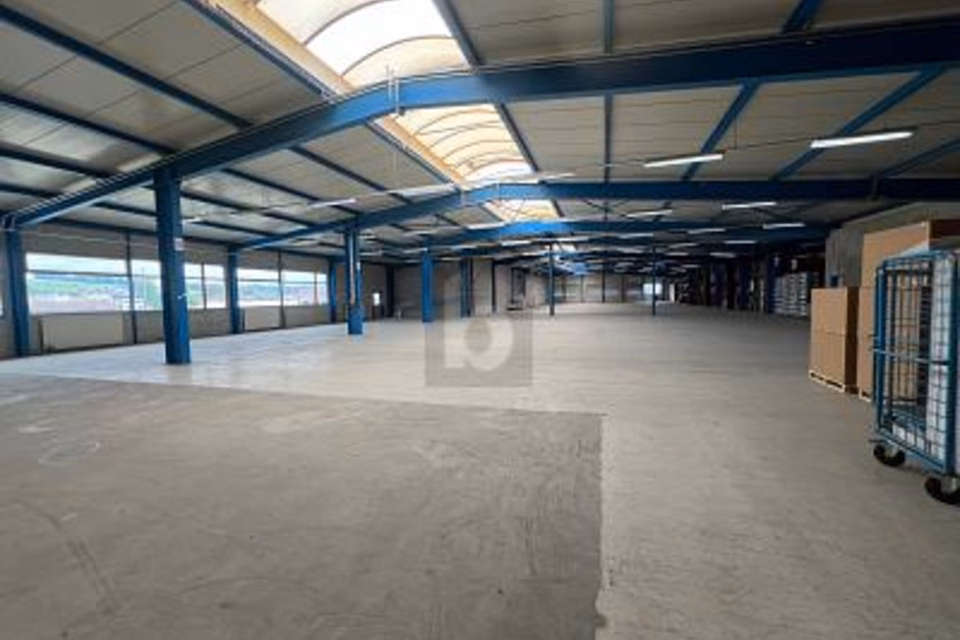 AMPIO CON MOLTO SPAZIO DI MAGAZZINO, 8932 Mettmenstetten, Zurich, CH