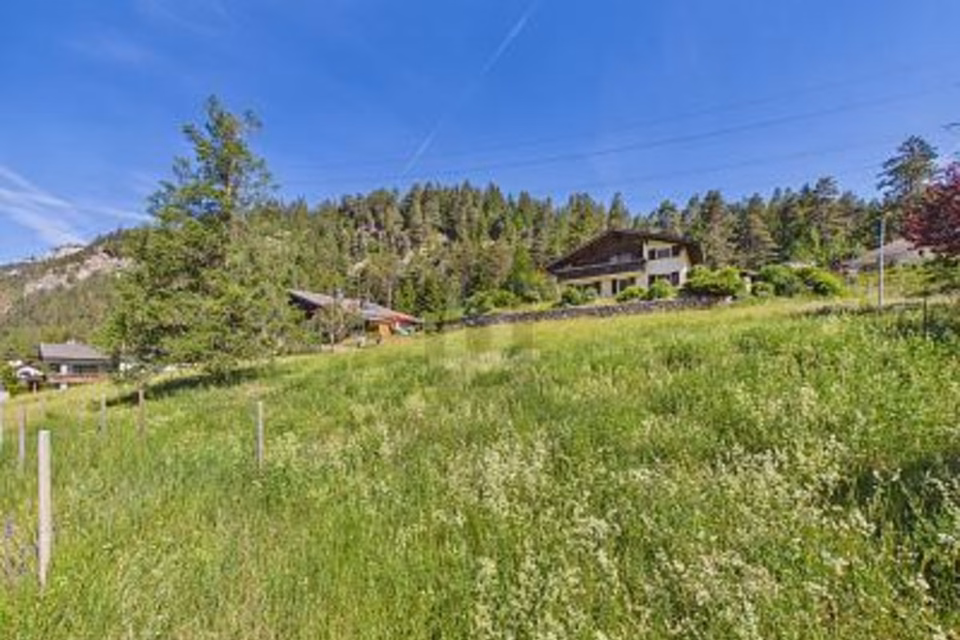 SONNIGE AUSSICHTSLAGE MIT BERGPANORAMA, 7472 Surava, Grisons, CH