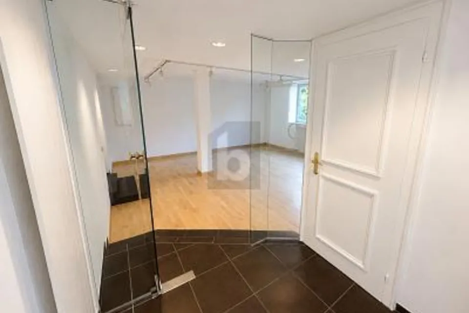 LUMINOSO E DI RAPPRESENTANZA, 8118 Pfaffhausen, Zurich, CH