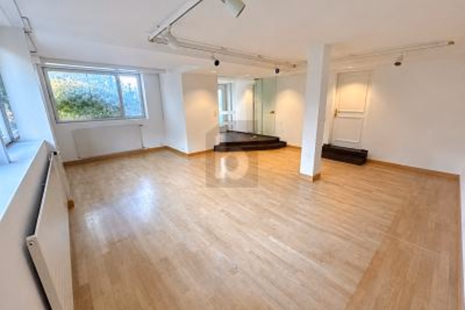 LUMINOSO E DI RAPPRESENTANZA, 8118 Pfaffhausen, Zurich, CH
