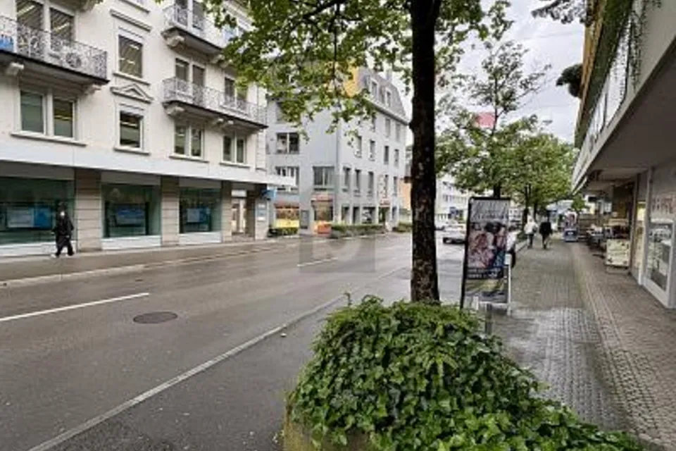 CENTRAL ET POLYVALENT, 8820 Wädenswil, Zurich, CH