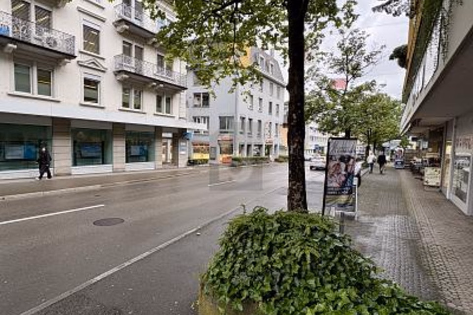 CENTRAL ET POLYVALENT, 8820 Wädenswil, Zurich, CH