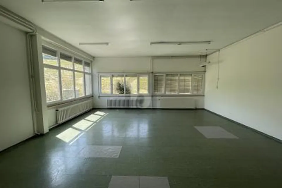 CONDIZIONI IDEALI PER IL SUO BUSINESS, 9434 Au SG, St. Gallen, CH