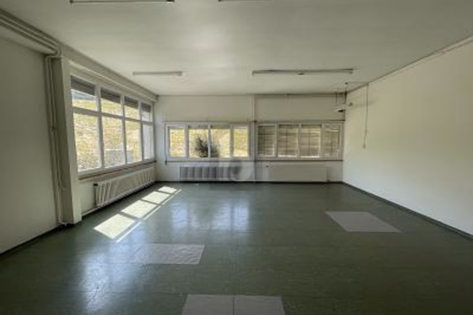 CONDIZIONI IDEALI PER IL SUO BUSINESS, 9434 Au SG, St. Gallen, CH