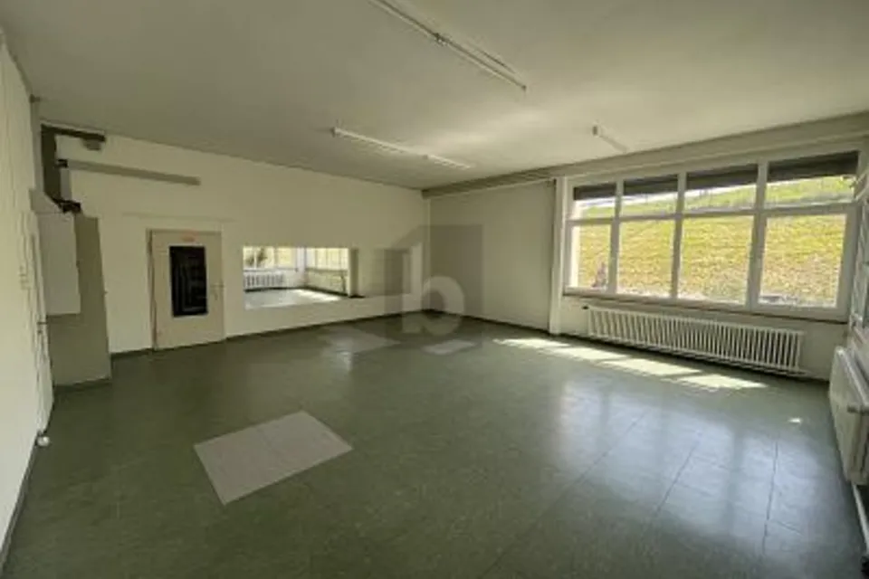 CONDIZIONI IDEALI PER IL SUO BUSINESS, 9434 Au SG, St. Gallen, CH
