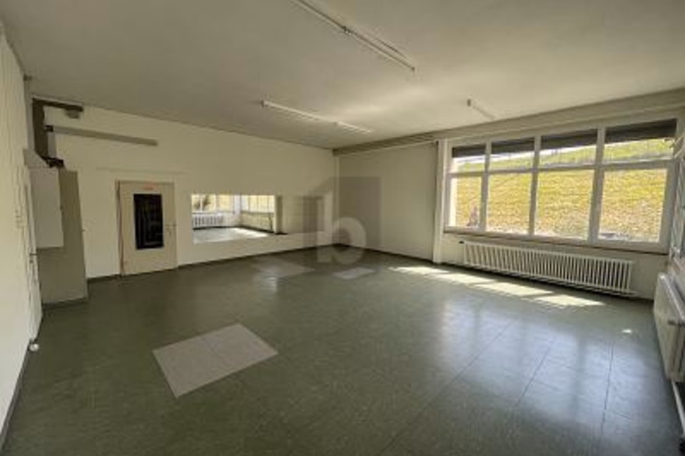 CONDIZIONI IDEALI PER IL SUO BUSINESS, 9434 Au SG, St. Gallen, CH