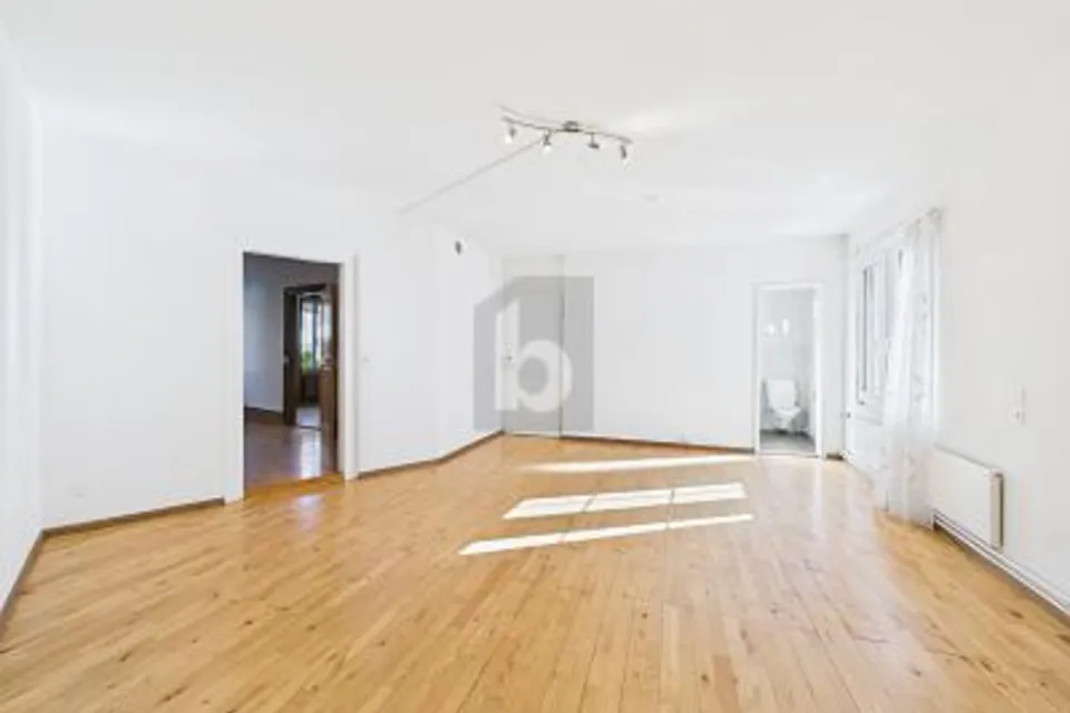 CENTRALE, DIRETTAMENTE ALLO HOTSPOT, 4410 Liestal, Basel-Landschaft, CH
