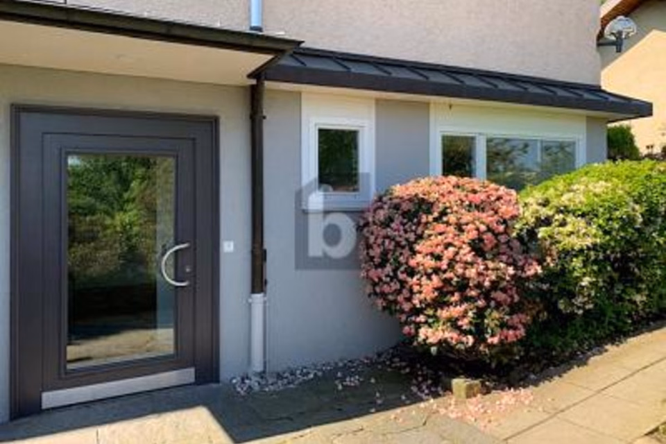 LUMINOSO E DI RAPPRESENTANZA, 8118 Pfaffhausen, Zurich, CH