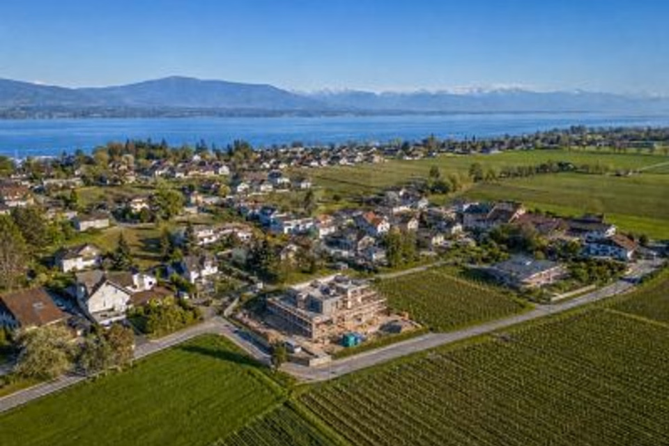 TERRAIN D'EXCEPTION AVEC PERMIS EN FORCE !, 1297 Founex, Vaud, CH