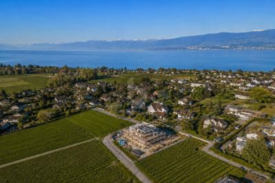 TERRAIN D'EXCEPTION AVEC PERMIS EN FORCE !, 1297 Founex, Vaud, CH