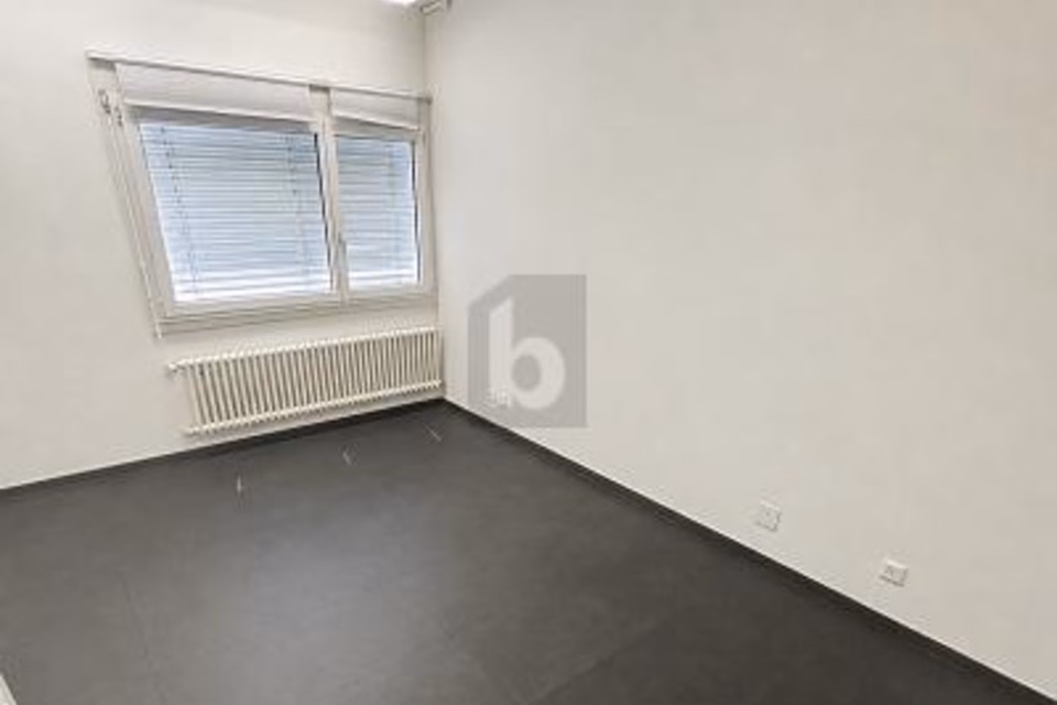 OUVERT, MODERNE ET ACCUEILLANT, 8049 Zürich, Zurich, CH