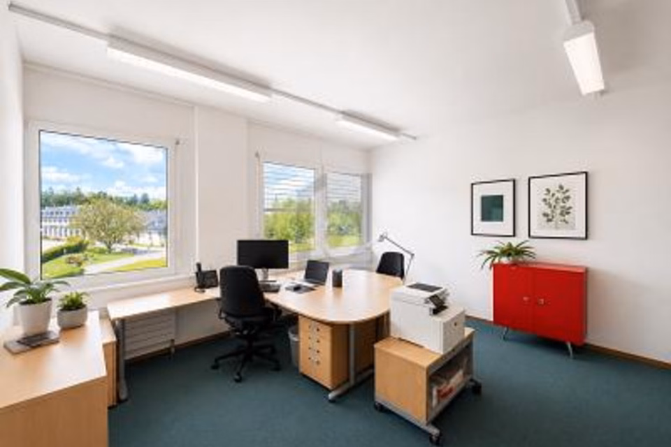 SPAZIOSI, MODERNI E MODULABILI, 1026 Echandens, Vaud, CH