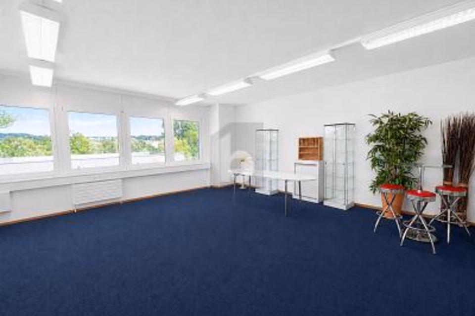 SPAZIOSI, MODERNI E MODULABILI, 1026 Echandens, Vaud, CH