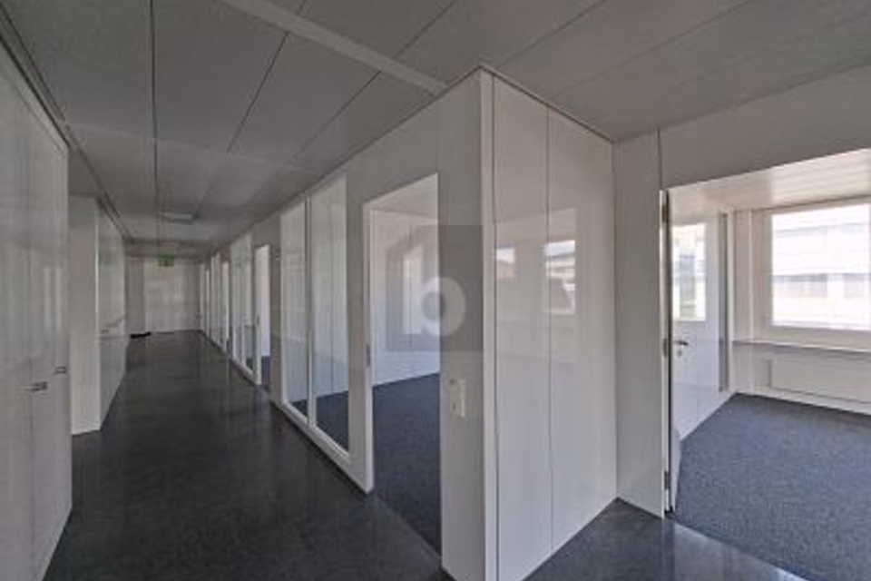 SPAZIO UFFICIO FLESSIBILE CON OTTIMA INFRASTRUTTURA, 6331 Hünenberg, Zug, CH