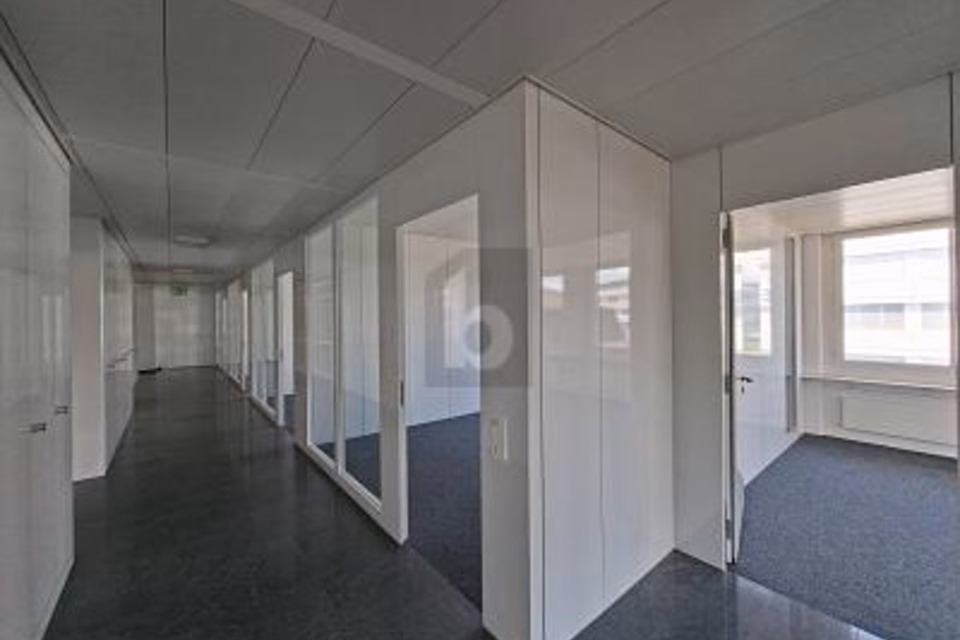 AMPIO SPAZIO PER IL VOSTRO SUCCESSO AZIENDALE, 6331 Hünenberg, Zug, CH