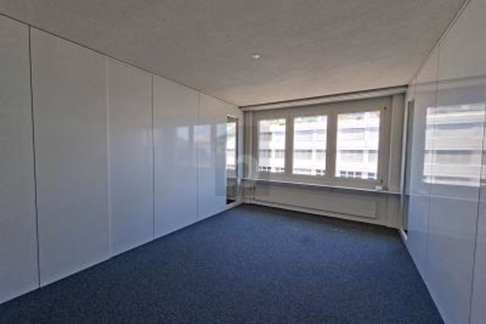 AMPIO SPAZIO PER IL VOSTRO SUCCESSO AZIENDALE, 6331 Hünenberg, Zug, CH