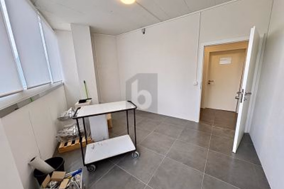 PRATICO E VERSATILE, 8834 Schindellegi, Schwyz, CH