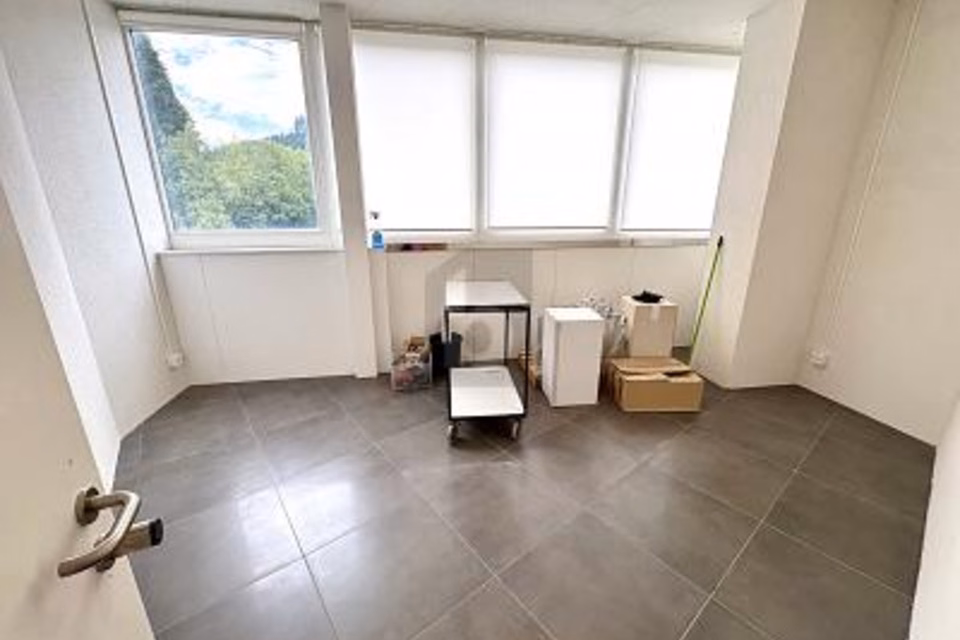 PRATICO E VERSATILE, 8834 Schindellegi, Schwyz, CH
