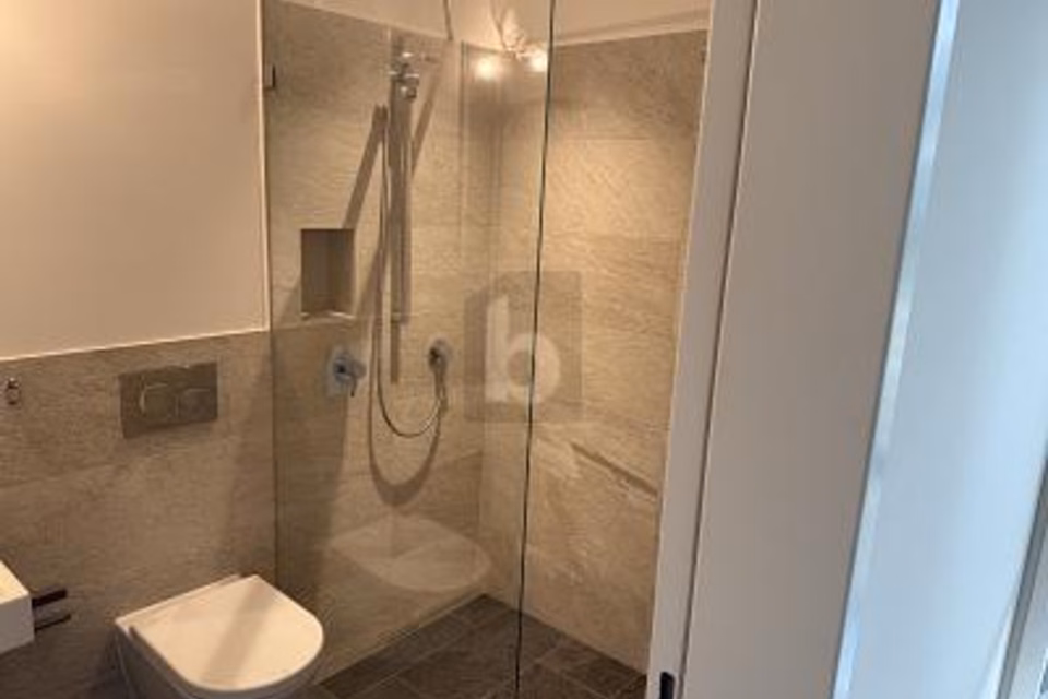 ESPACE DE LOISIRS CONFORTABLE AVEC DOUCHE ET WC, 4153 Reinach BL, Basel-Landschaft, CH