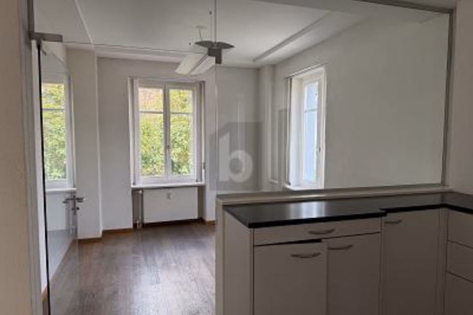 LUMINEUX, SPACIEUX ET POLYVALENT, 4450 Sissach, Basel-Landschaft, CH