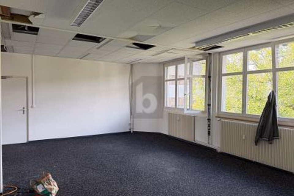 MODERNO, FLESSIBILE E VICINO ALLA STAZIONE, 4450 Sissach, Basel-Landschaft, CH