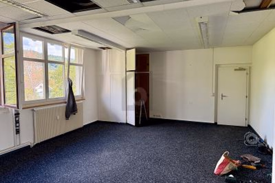 MODERNO, FLESSIBILE E VICINO ALLA STAZIONE, 4450 Sissach, Basel-Landschaft, CH
