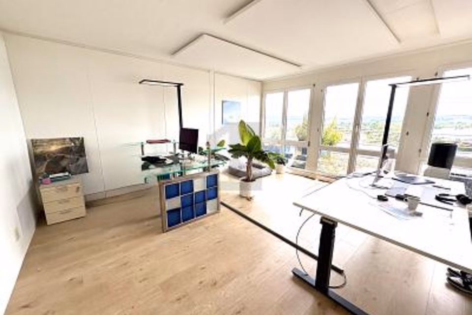 RAPPRESENTATIVO CON VISTA LAGO E TERRAZZE, 8808 Pfäffikon SZ, Schwyz, CH