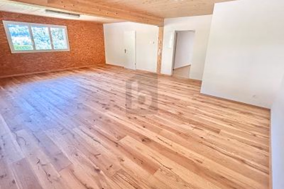 LOCALI CURATI E LUMINOSI, 4444 Rümlingen, Basel-Landschaft, CH