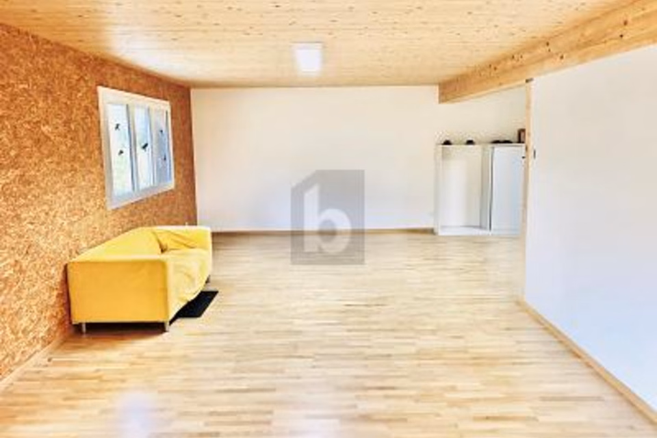 LOCALI CURATI E LUMINOSI, 4444 Rümlingen, Basel-Landschaft, CH