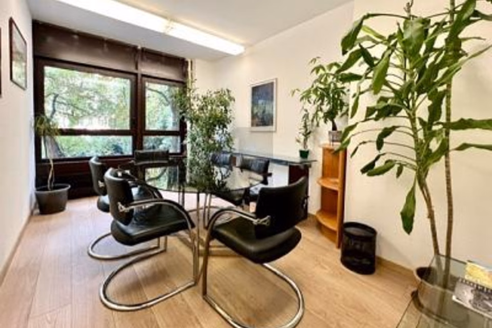 Bright Sunny Space in a Quiet Location Facing the Trees, 1206 Genève, Geneva, CH